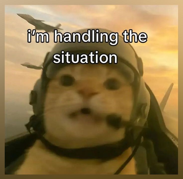 I'm handling the situation