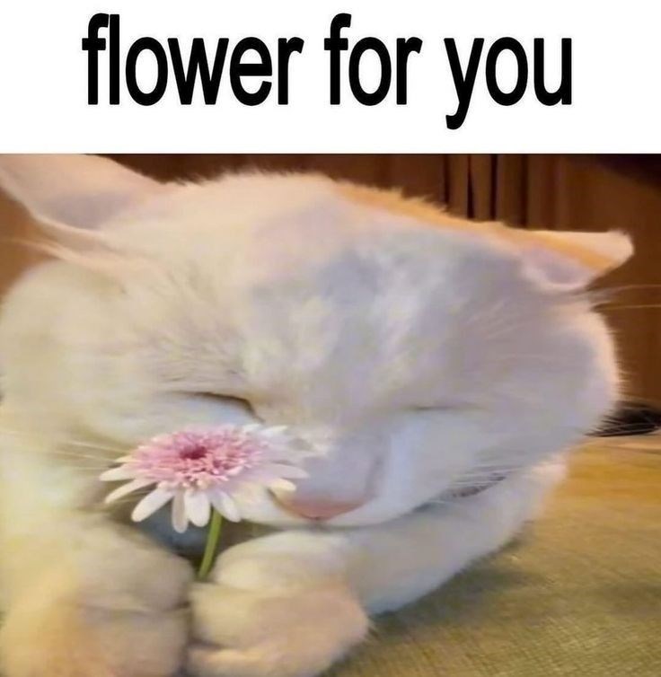 flower for you