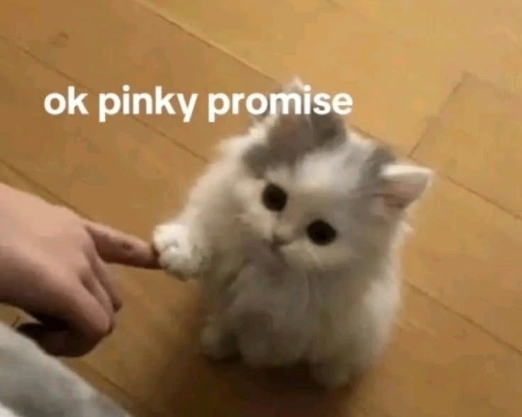 ok pinky promise