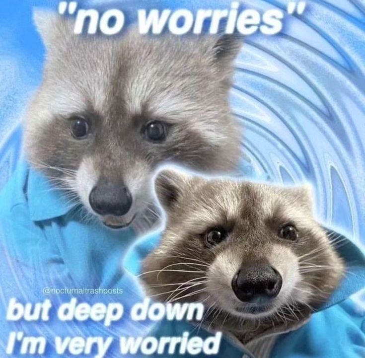 "no worries @nocturnaltrashposts but deep down I'm very worried