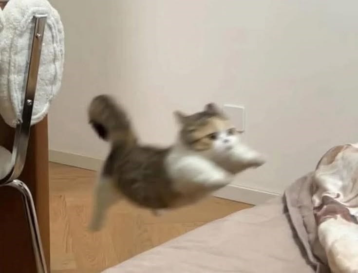 Cheezburger Image 10613540096