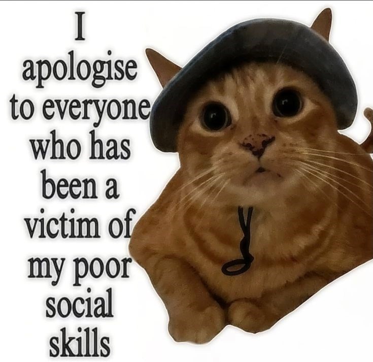 I apologise to everyone who has been a victim of my poor social skills