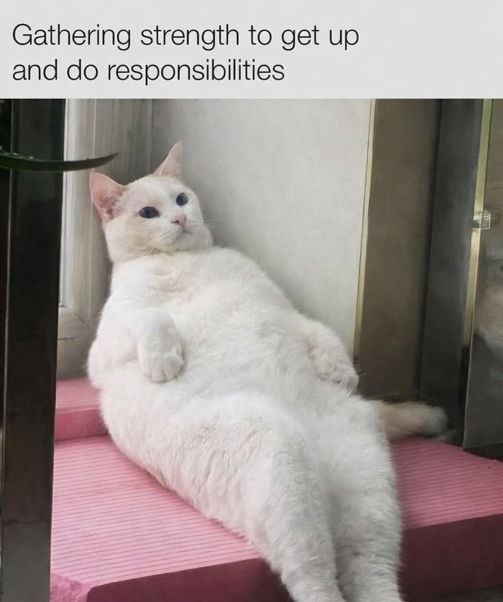 Gathering strength to get up. and do responsibilities