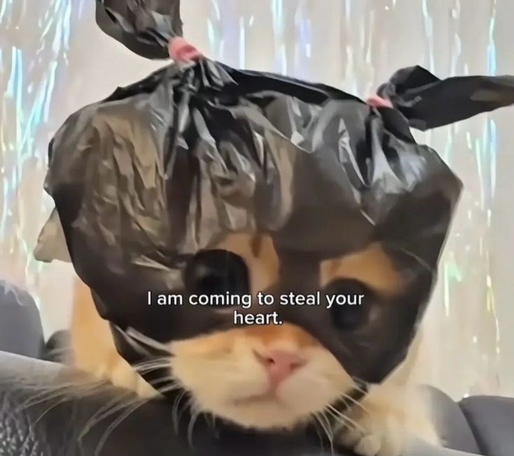 I am coming to steal your heart.