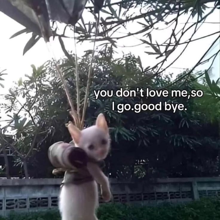 you don't love me,so I go.good bye.