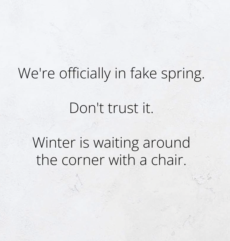 We're officially in fake spring. Don't trust it. Winter is waiting around the corner with a chair.