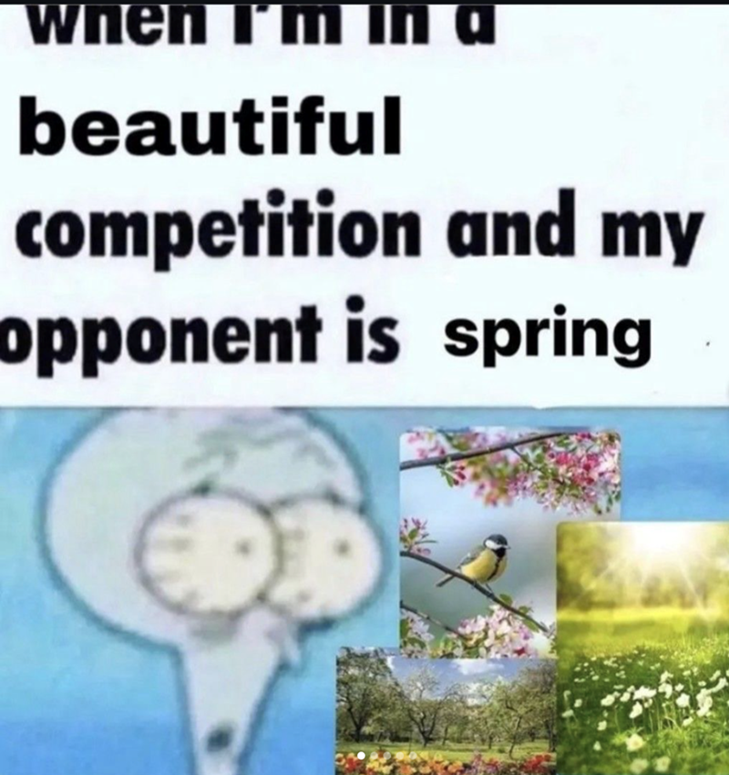 when beautiful competition and my opponent is spring