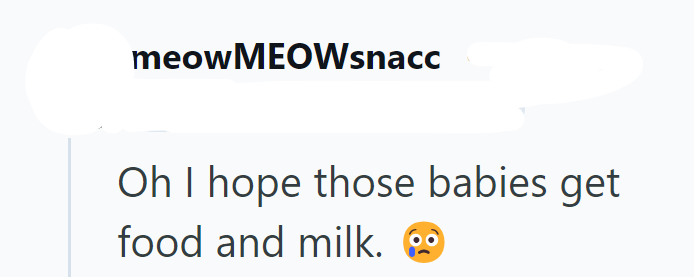 meowMEOWsnacc Oh I hope those babies get food and milk.