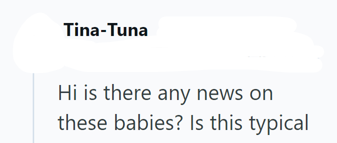 Tina-Tuna Hi is there any news on these babies? Is this typical