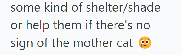 some kind of shelter/shade or help them if there's no sign of the mother cat