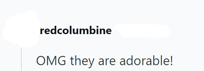 redcolumbine OMG they are adorable!