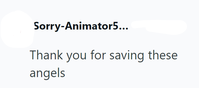 Sorry-Animator5... Thank you for saving these angels