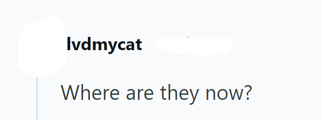 Ivdmycat Where are they now?