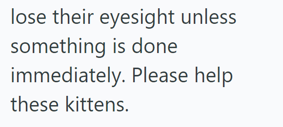 lose their eyesight unless something is done immediately. Please help these kittens.