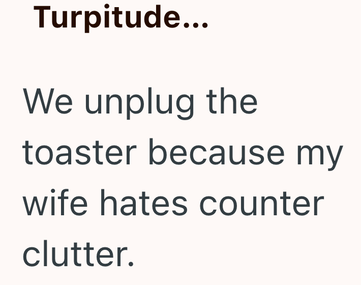 Turpitude... We unplug the toaster because my wife hates counter clutter.