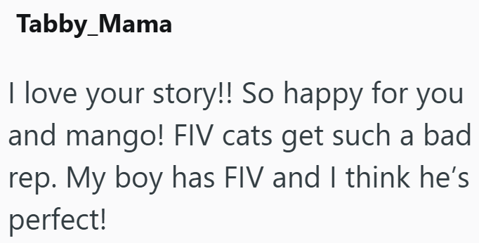 Tabby_Mama I love your story!! So happy for you and mango! FIV cats get such a bad rep. My boy has FIV and I think he's perfect!
