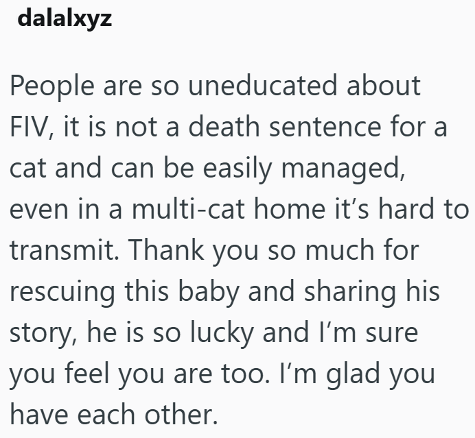dalalxyz People are so uneducated about FIV, it is not a death sentence for a cat and can be easily managed, even in a multi-cat home it's hard to transmit. Thank you so much for rescuing this baby and sharing his story, he is so lucky and I'm sure you feel you are too. I'm glad you have each other.