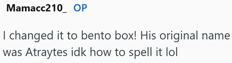 Mamacc210 OP I changed it to bento box! His original name was Atraytes idk how to spell it lol