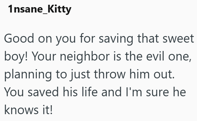 1nsane_Kitty Good on you for saving that sweet boy! Your neighbor is the evil one, planning to just throw him out. You saved his life and I'm sure he knows it!