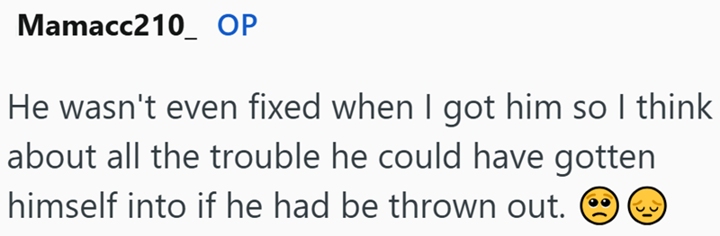 Mamacc210 OP He wasn't even fixed when I got him so I think about all the trouble he could have gotten himself into if he had be thrown out.