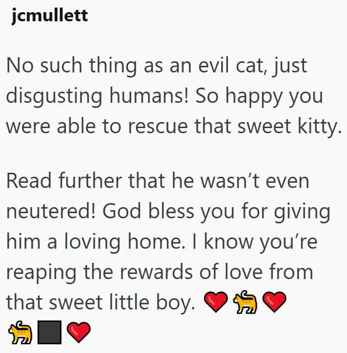 jcmullett No such thing as an evil cat, just disgusting humans! So happy you were able to rescue that sweet kitty. Read further that he wasn't even neutered! God bless you for giving him a loving home. I know you're reaping the rewards of love from that sweet little boy.