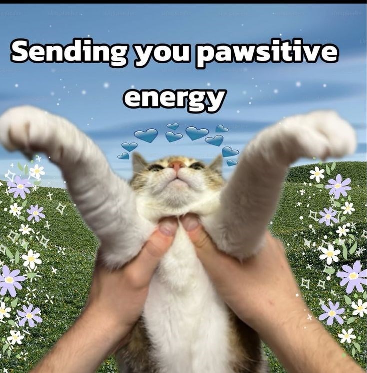 Sending you pawsitive energy * ** A
