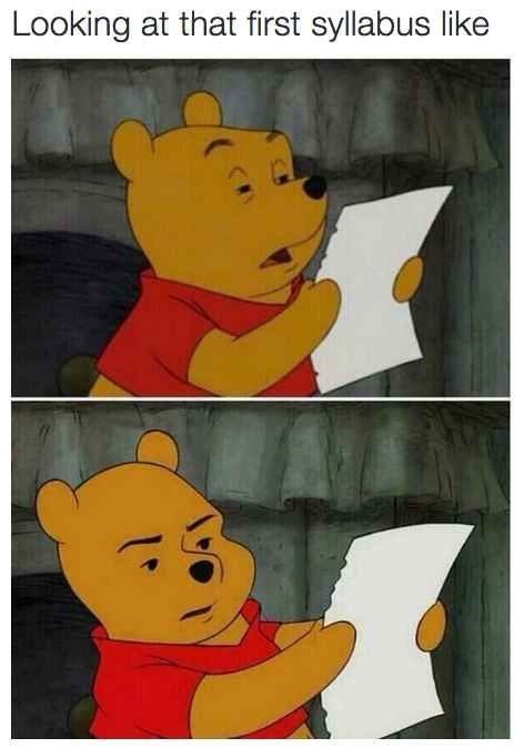 Looking at that first syllabus like