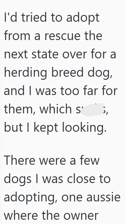 I'd tried to adopt from a rescue the next state over for a herding breed dog, and I was too far for them, which s but I kept looking. There were a few dogs I was close to adopting, one aussie where the owner