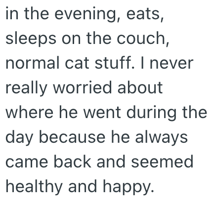 in the evening, eats, sleeps on the couch, normal cat stuff. I never really worried about where he went during the day because he always came back and seemed healthy and happy.