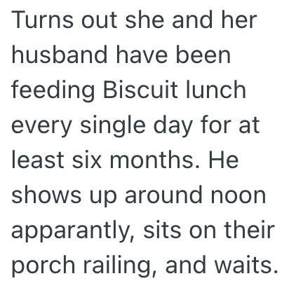 Turns out she and her husband have been feeding Biscuit lunch every single day for at least six months. He shows up around noon apparantly, sits on their porch railing, and waits.