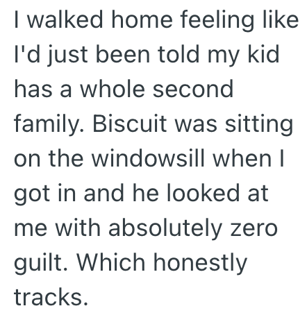 I walked home feeling like I'd just been told my kid has a whole second family. Biscuit was sitting on the windowsill when I got in and he looked at me with absolutely zero guilt. Which honestly tracks.