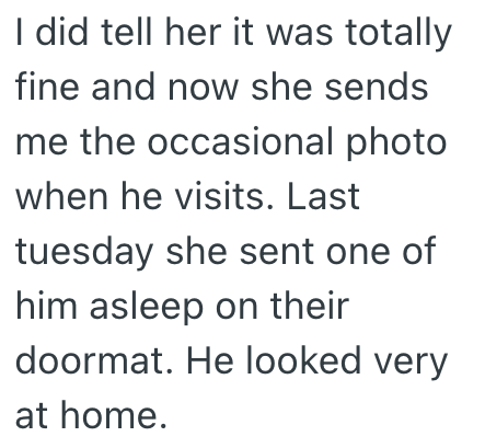 I did tell her it was totally fine and now she sends me the occasional photo when he visits. Last tuesday she sent one of him asleep on their doormat. He looked very at home.