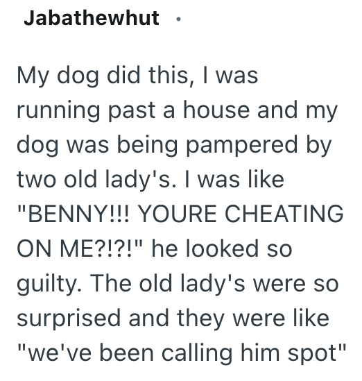 Jabathewhut My dog did this, I was running past a house and my dog was being pampered by two old lady's. I was like "BENNY!!! YOURE CHEATING ON ME?!?!" he looked so guilty. The old lady's were so surprised and they were like "we've been calling him spot"