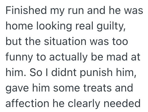 Finished my run and he was home looking real guilty, but the situation was too funny to actually be mad at him. So I didnt punish him, gave him some treats and affection he clearly needed
