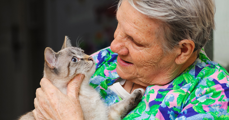 Cheezburger Image 10613640704