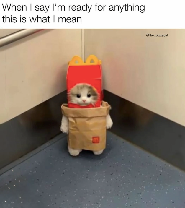 When I say I'm ready for anything this is what I mean M @the_pizzacat
