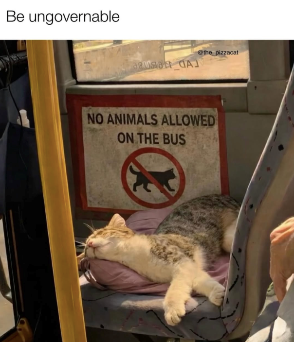 Be ungovernable aura A @the_pizzacat NO ANIMALS ALLOWED ON THE BUS