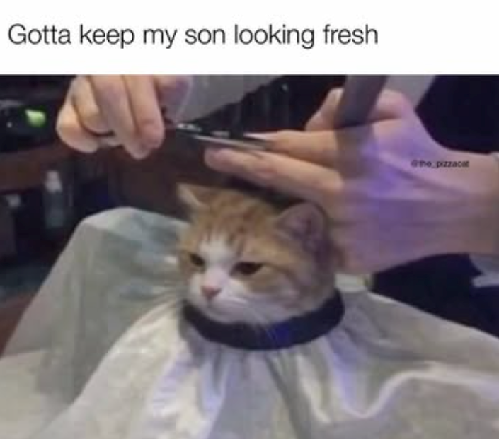 Gotta keep my son looking fresh the pizzacat