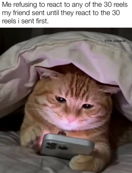 Me refusing to react to any of the 30 reels my friend sent until they react to the 30 reels i sent first. @the_pizzacat