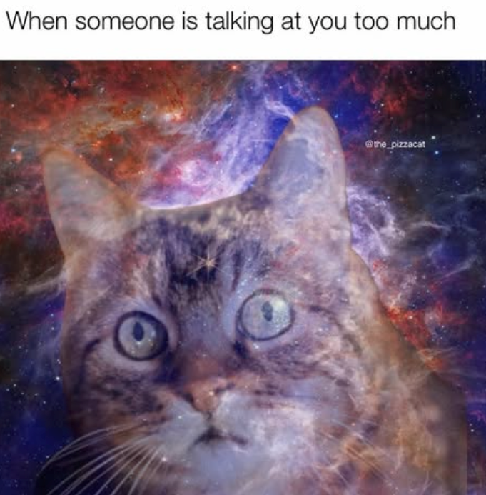 When someone is talking at you too much @the_pizzacat