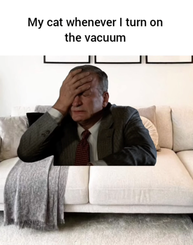 My cat whenever I turn on the vacuum