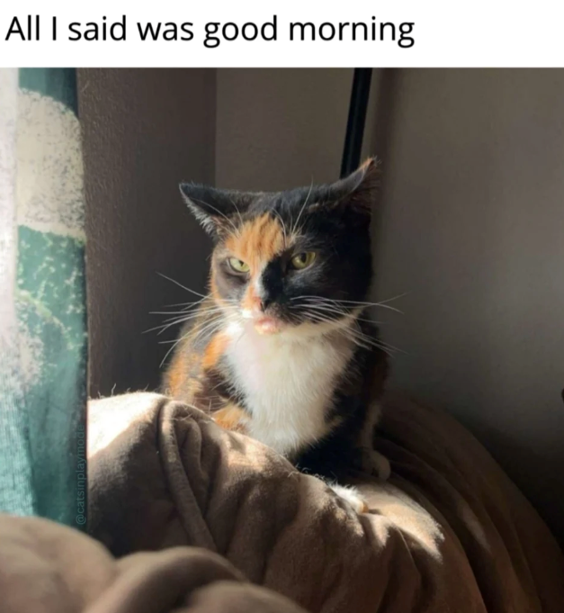 All I said was good morning