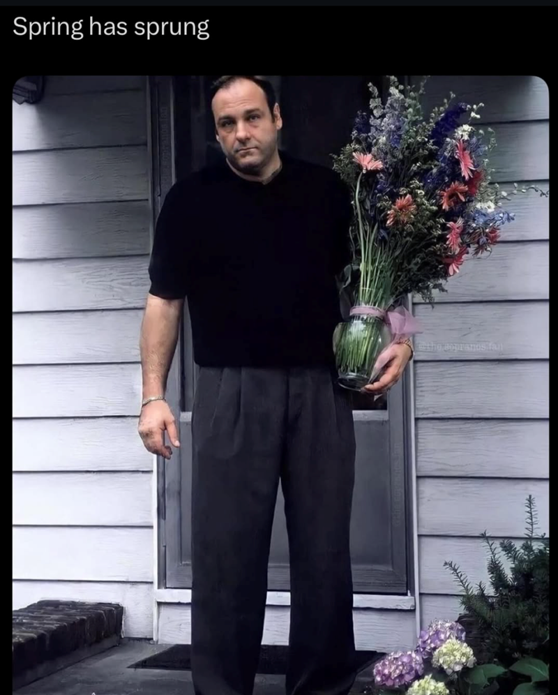 Spring has sprung the sopranos fail