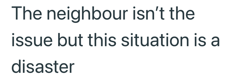 The neighbour isn't the issue but this situation is a disaster