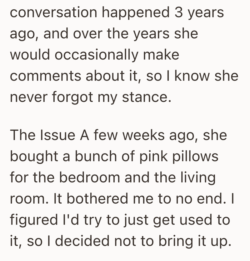 conversation happened 3 years ago, and over the years she would occasionally make comments about it, so I know she never forgot my stance. The Issue A few weeks ago, she bought a bunch of pink pillows for the bedroom and the living room. It bothered me to no end. I figured I'd try to just get used to it, so I decided not to bring it up.