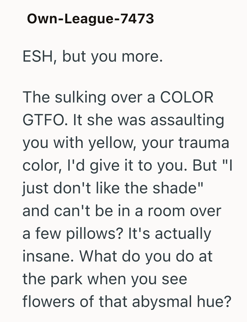 Own-League-7473 ESH, but you more. The sulking over a COLOR GTFO. It she was assaulting you with yellow, your trauma color, I'd give it to you. But "I just don't like the shade" and can't be in a room over a few pillows? It's actually insane. What do you do at the park when you see flowers of that abysmal hue?