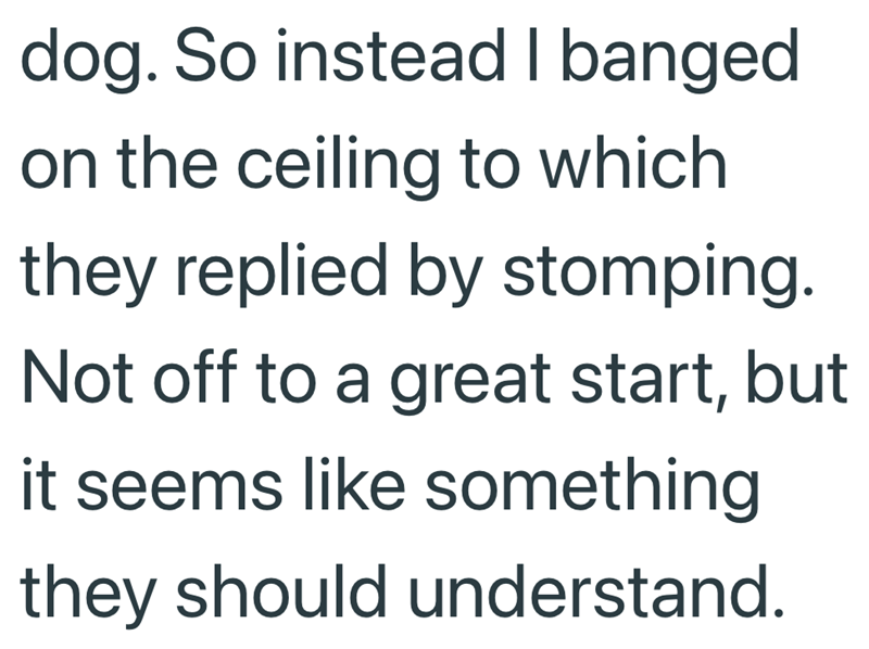 dog. So instead I banged on the ceiling to which they replied by stomping. Not off to a great start, but it seems like something they should understand.
