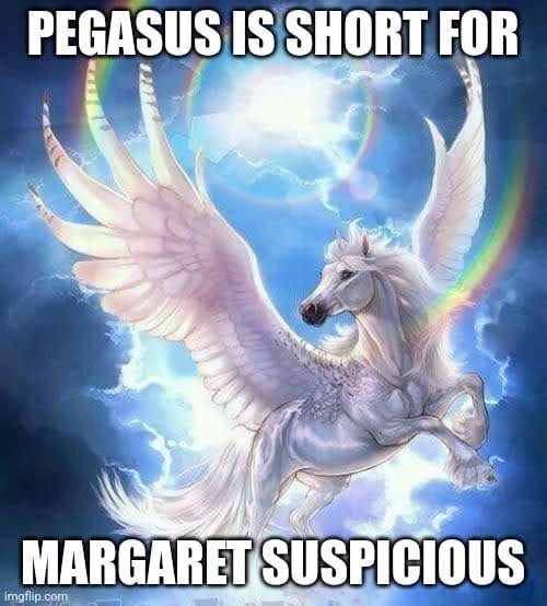 PEGASUS IS SHORT FOR MARGARET SUSPICIOUS imgflip.com
