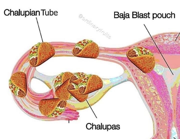 Chalupian Tube @ordinaryfruits Baja Blast pouch Chalupas