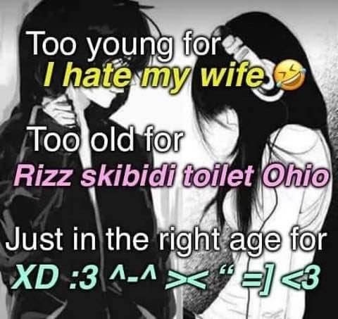 Too young for I hate my wife Too old for Rizz skibidi toilet Ohio Just in the right age for XD :3 ^-^